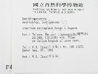 登錄號:F0004356藏品圖，第2張