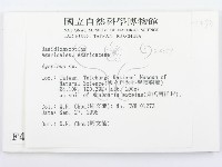 傘菌屬藏品圖，第2張