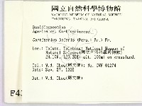 登錄號:F0004360藏品圖，第2張