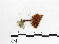 登錄號:F0004360藏品圖，第3張