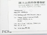 登錄號:F0004362藏品圖，第2張