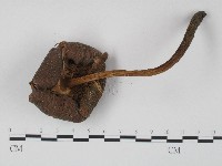 登錄號:F0004363藏品圖，第3張