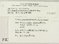 登錄號:F0004364藏品圖，第2張