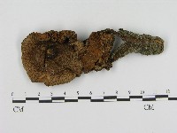 登錄號:F0004364藏品圖，第1張