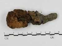 登錄號:F0004364藏品圖，第3張