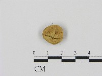 登錄號:F0004366藏品圖，第1張