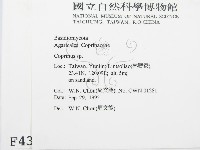 鬼傘屬藏品圖，第2張