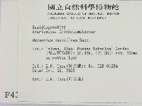 登錄號:F0004369藏品圖，第2張