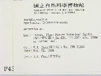 小皮傘屬藏品圖，第2張