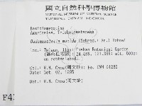 登錄號:F0004371藏品圖，第2張