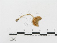 登錄號:F0004373藏品圖，第3張