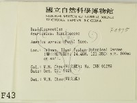 登錄號:F0004375藏品圖，第2張