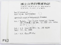 登錄號:F0004376藏品圖，第2張