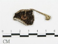 登錄號:F0004376藏品圖，第1張