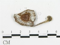 登錄號:F0004376藏品圖，第3張