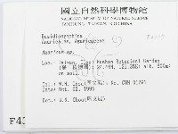 傘菌屬藏品圖，第2張