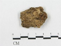 登錄號:F0004378藏品圖，第1張