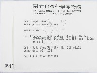 紅菇屬藏品圖，第2張