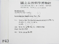 登錄號:F0004380藏品圖，第2張