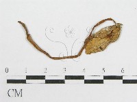 登錄號:F0004380藏品圖，第3張