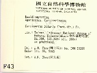 登錄號:F0004381藏品圖，第2張