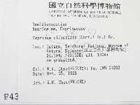 登錄號:F0004382藏品圖，第2張
