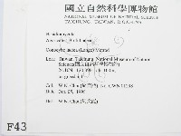 登錄號:F0004384藏品圖，第2張