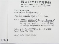 登錄號:F0004385藏品圖，第2張