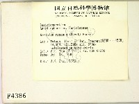 登錄號:F0004386藏品圖，第2張