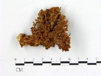 登錄號:F0004386藏品圖，第3張