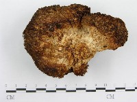 登錄號:F0004387藏品圖，第1張