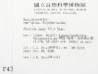 登錄號:F0004390藏品圖，第2張