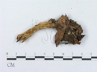 登錄號:F0004390藏品圖，第3張