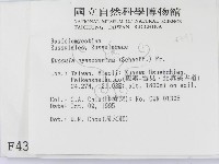 登錄號:F0004391藏品圖，第2張