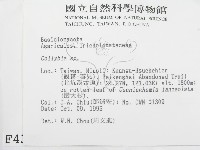 登錄號:F0004395藏品圖，第2張