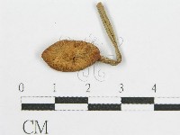 登錄號:F0004395藏品圖，第3張