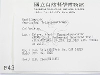 登錄號:F0004396藏品圖，第2張