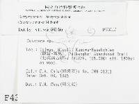 登錄號:F0004397藏品圖，第2張