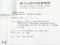 登錄號:F0004397藏品圖，第3張