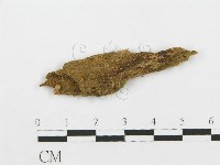 登錄號:F0004397藏品圖，第1張