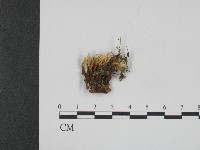 登錄號:F0004398藏品圖，第1張