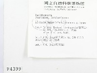 登錄號:F0004399藏品圖，第2張