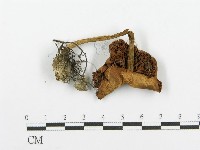 登錄號:F0004399藏品圖，第1張