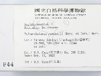 登錄號:F0004400藏品圖，第2張