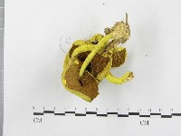 登錄號:F0004400藏品圖，第3張