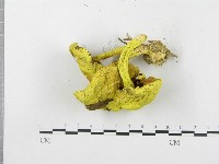 登錄號:F0004400藏品圖，第4張