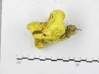 登錄號:F0004400藏品圖，第5張