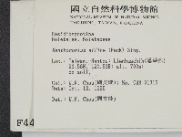 登錄號:F0004401藏品圖，第2張