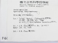 登錄號:F0004403藏品圖，第3張