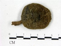 登錄號:F0004403藏品圖，第1張